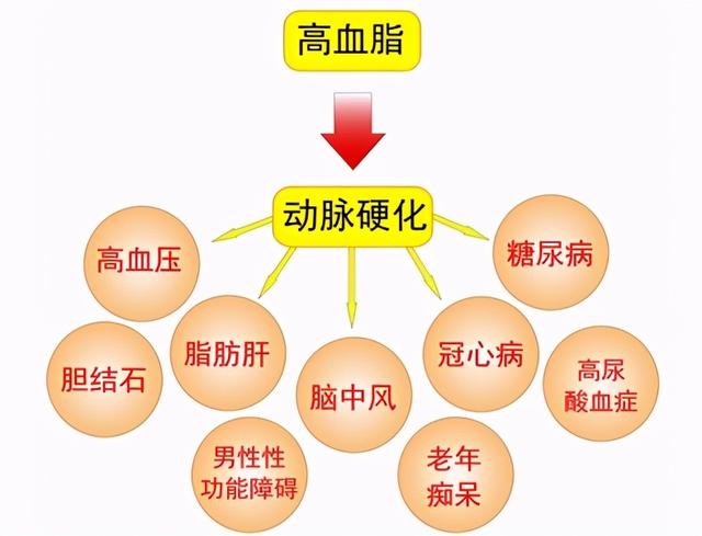 高血脂患者的营养食谱推荐，健康饮食习惯让你降血脂少走弯路