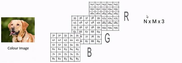 你曾想过如何将图像存储在数据集中吗？