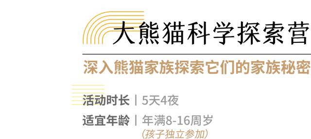 你的育儿经|2020夏令营丨造房子/探秘熊猫/昆虫科考/水中急救……最强小孩养成，一个夏天就够了