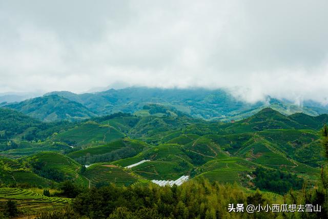 旅行百事通@福建最美的梯田之一,藏在宁德福安白云山北侧,极为原生态未开发