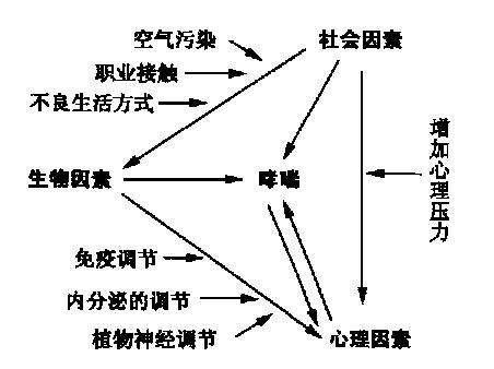 大夫，医院里的心身病房是看什么病的？一文带你了解心身医学