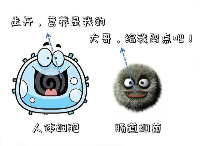 关于肠漏的10条金句