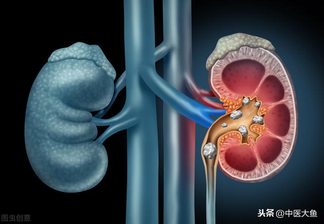 张廷模中药学讲稿 43 苡仁 车前 滑石 木通 石韦 萆薢