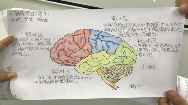 超级宝妈：孩子记忆力差？家长应把握记忆力的3个高峰期，提升孩子学习效率