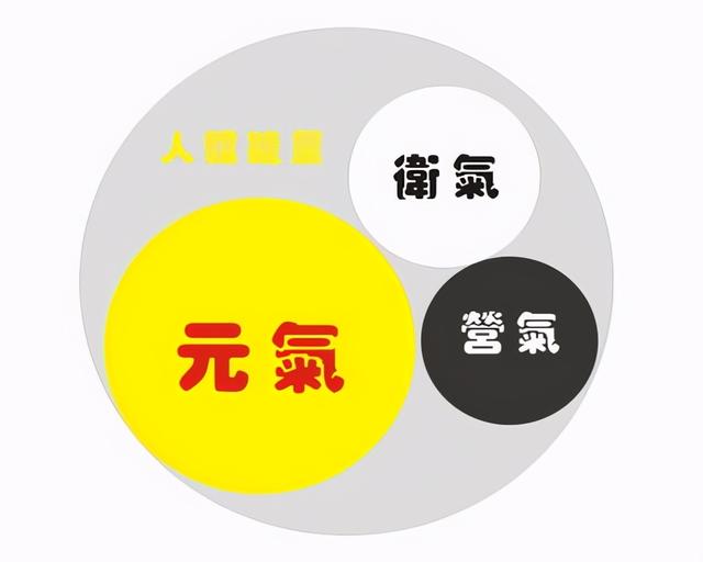 中医讲“卫气”，现代医学讲“免疫”，都与你身体这个“钟”相关