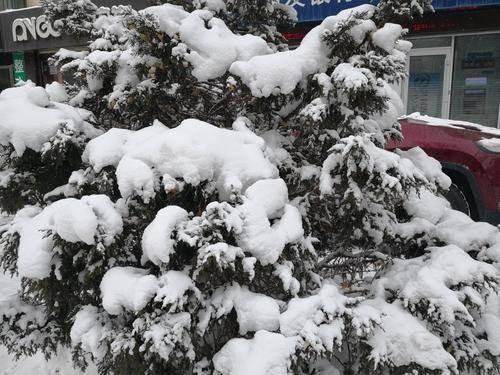 这一生我只做了两件事：吻了一下雪，或者把雪抱在了怀里