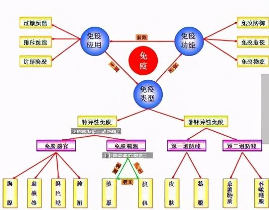 癌症死亡真相，免疫力最关键，抗癌新方法，让患者延长15年以上