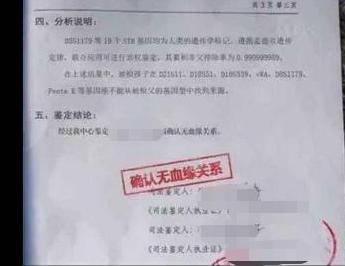 「你的育儿经」双胞胎“同母不同父”，亲子鉴定后宝妈吐出实情，网友：不敢相信