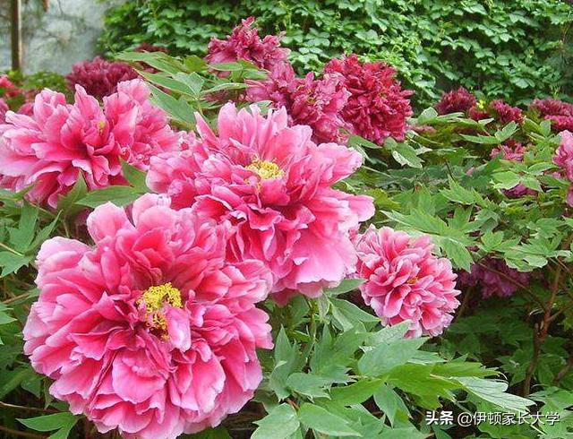 「你的育儿经」明天谷雨，这个节气很多人不了解，可以这样讲给孩子听！