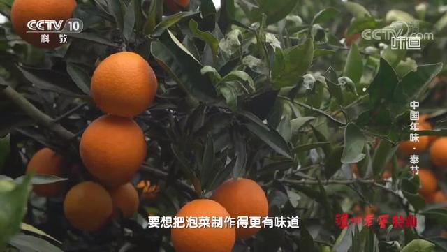 味道|央视《2021春节有味道》暖胃开播，带你感受舌尖上的奉节年味