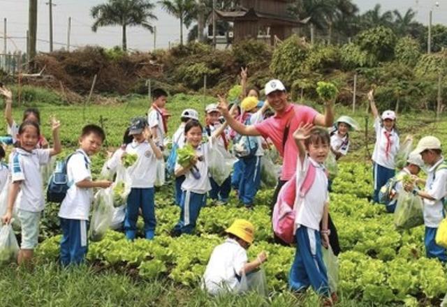 男童摘桑葚迷路，回来搞了一张“桑葚面膜”，妈妈：差点没认出来