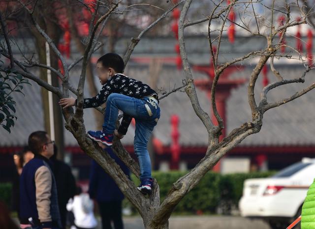 “十鼠九苦”不如“牛气冲天”，年底成备孕高峰，准爸妈别太较真