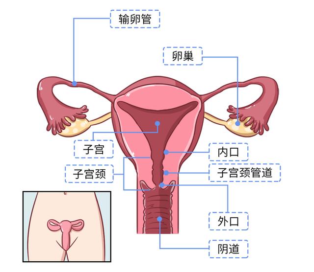 未婚少女能做妇科检查吗？那层膜会不会破？建议看一看