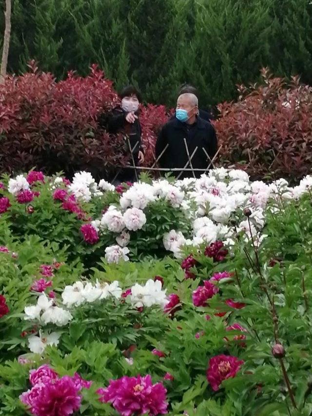 趣旅游▲牡丹那么美,我想年年带你看花开
