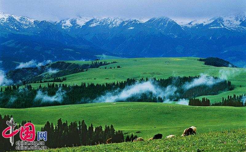 新疆天山世界自然遗产地喀拉峻片区山地草原.