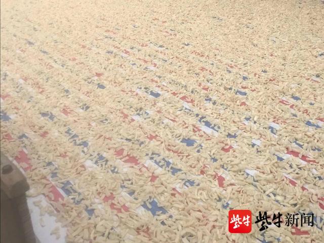 萝卜干|300多岁的高淳东坝萝卜干，与时俱进腌制