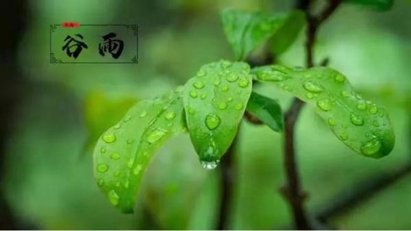 哮喘|军医小茵｜今日谷雨