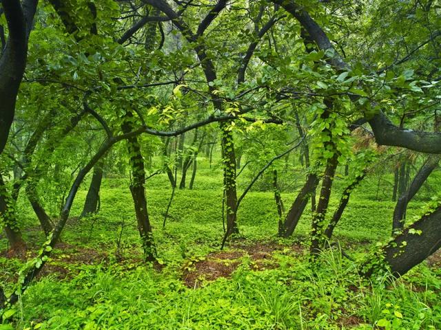 #旅行柚子君#刘公岛如此＂美味儿＂，让你明白什么才是真正的色香味俱佳～