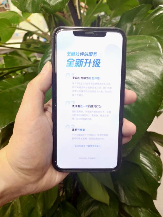 央广网今天芝麻分终于涨了,解锁商业信用价值新姿势