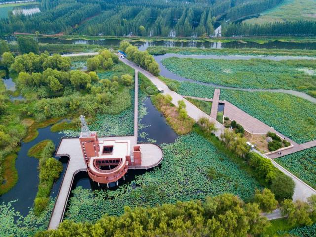 『世界那么大』微山湖战“疫(役)”,今年这里要创5A,专访微山湖旅发集团董事长