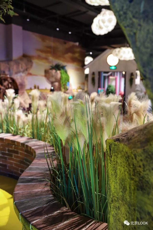 「玩乐足迹」北京首家室内动物园 · 和羊驼浣熊一起玩