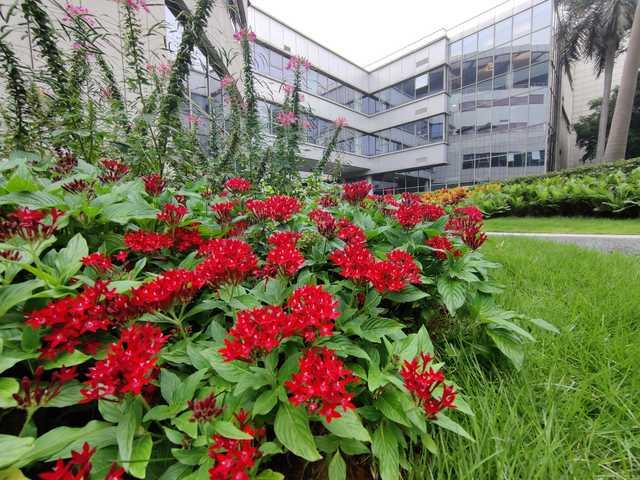 5G速度到底有多快？口碑爆炸的5G神机大盘点