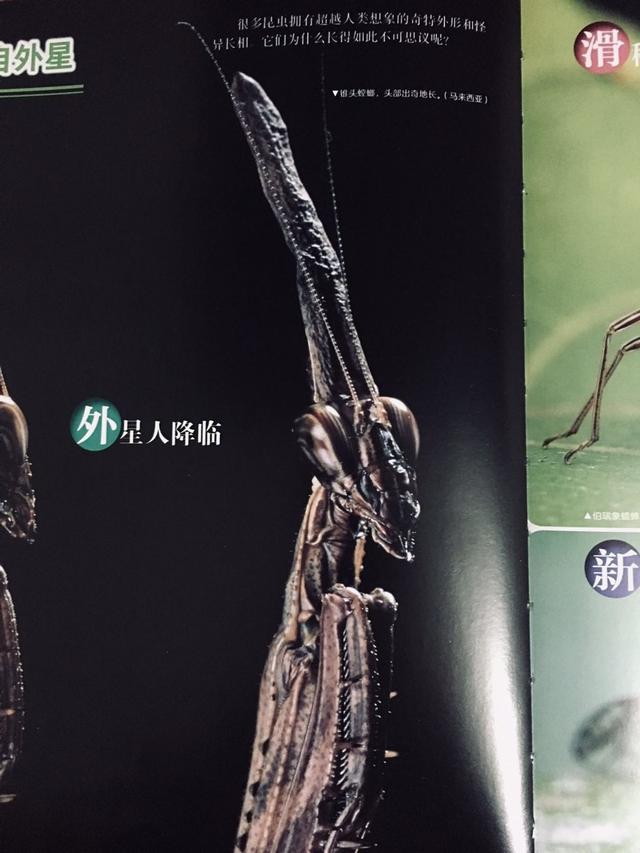 超级宝妈|六一儿童节专属：什么样的礼物对孩子最好，这本书给出了答案