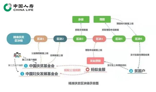 「大众日报」脱贫攻坚的国寿力量：区块链技术助力精准扶贫