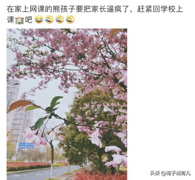「超级宝妈」疫情期间孩子在家上课父母要崩溃？看看你是不是忽略了这三点