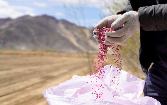 西藏|数说宝“藏”|这五年，科技进步对西藏经济增长贡献率达45.6%