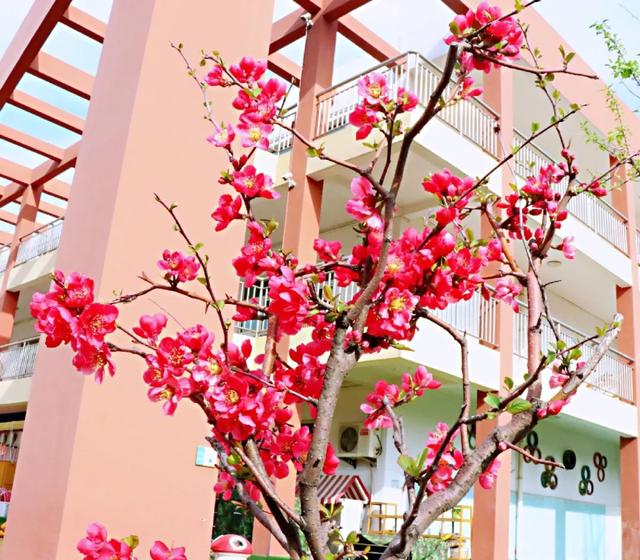 「齐鲁黄河从这里入海」同幼小耳朵电台 | 师语“香”伴 《病毒的悄悄话》