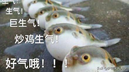 #超级宝妈#楼上邻居：嫌我们孩子闹腾？有本事你去住别墅啊