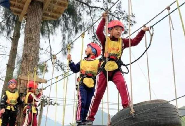 家庭教育影响重大，想让孩子有出息，这4点家长不可不知