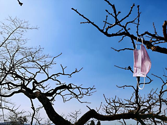 「超级宝妈」孕韵：致敬伟大的母爱！