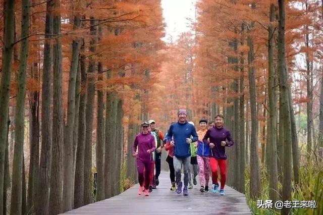 旅记■徐州多条最美跑步线路推荐！看看这些网红地，你打卡过几处？