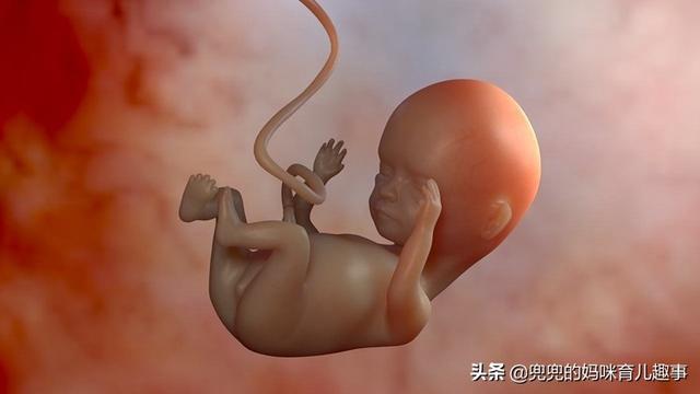 【你的育儿经】怀孕后准妈妈是左侧睡还是右侧睡好？妇产科医生：很有讲究！