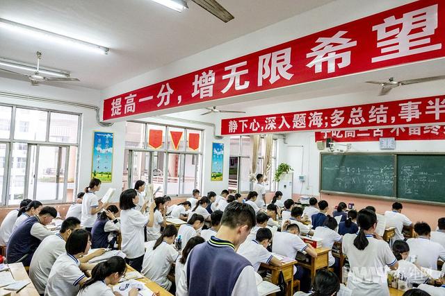 「你的育儿经」儿子，放下手中的笔，看看明媚的春光吧！妈妈真怕你变呆傻了