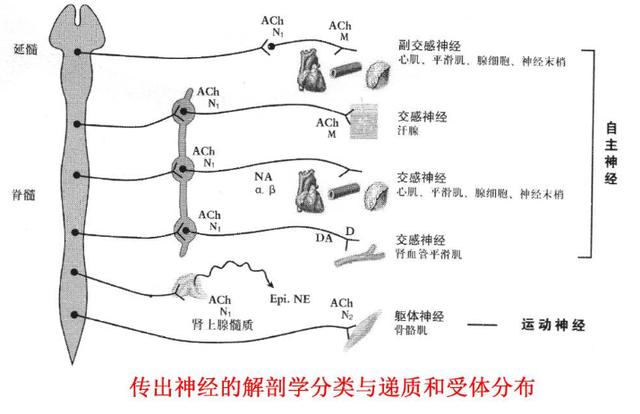 当身体里的电量被偷走