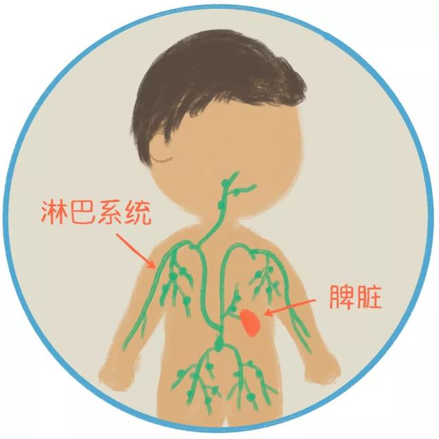 「超级宝妈」给孩子的免疫力故事（绘本版）