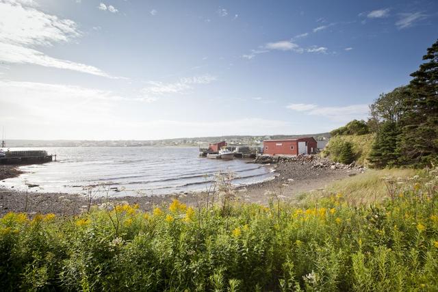 [旅行柚子君]在加拿大的星空下，闪耀女神的光芒吧