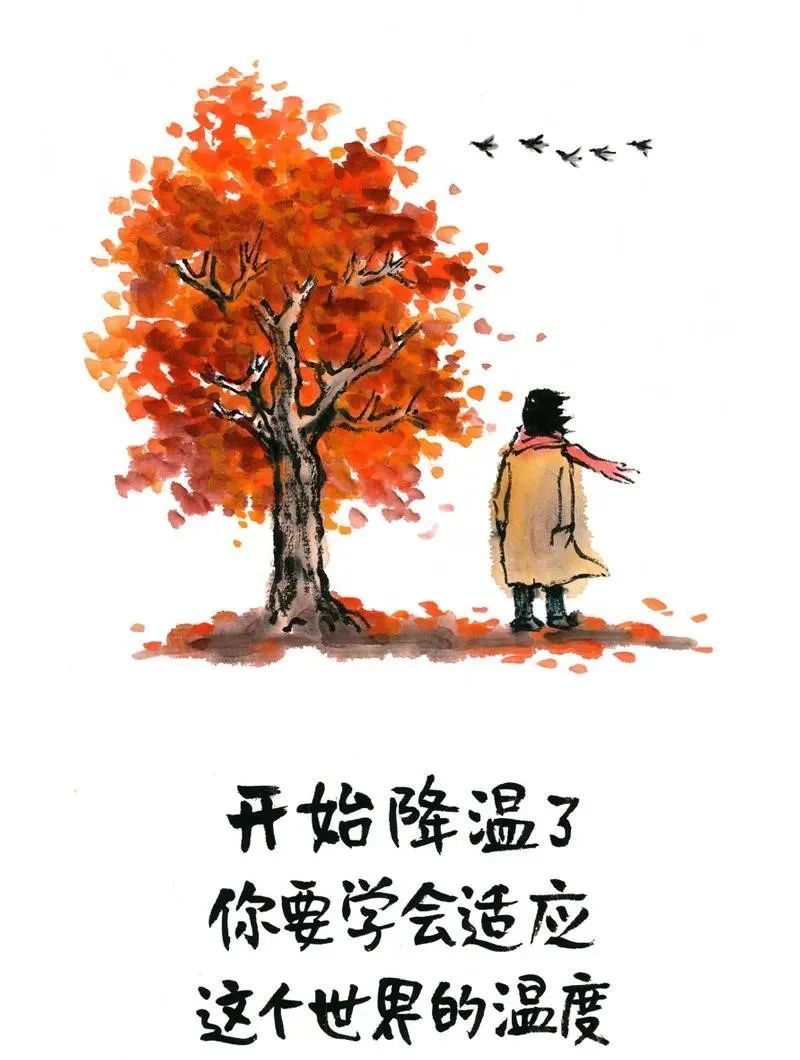开始降温了,你要学会适应这个世界的温度!