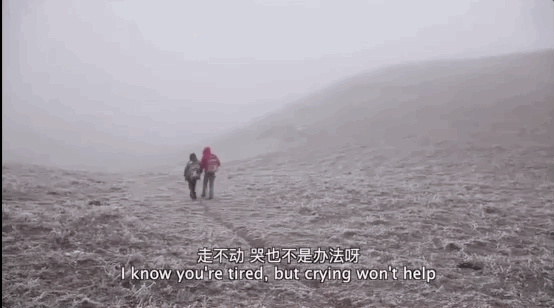 40岁二胎妈妈凌晨发朋友圈；撑了好久，我熬不下去了