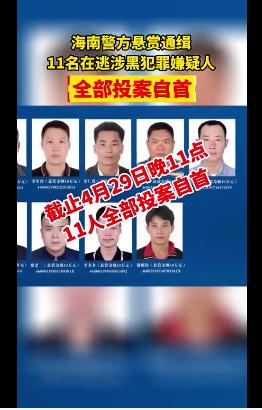 海南11名在逃涉黑犯罪嫌疑人全部投案自首