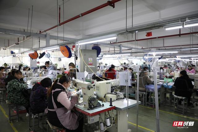 公司|新田：园区企业陆续复工 冲刺首季“开门红”