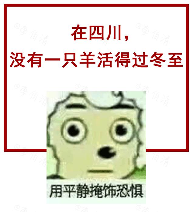 在四川没有一只羊活得过冬至