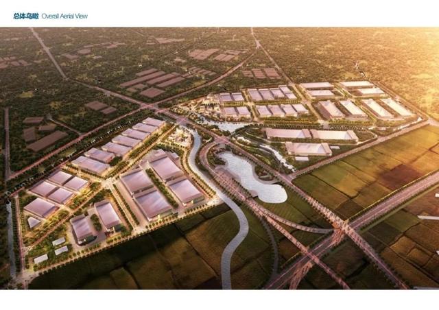 项目|73.86亿元！金山1月份招商引资新签约项目实现开门红