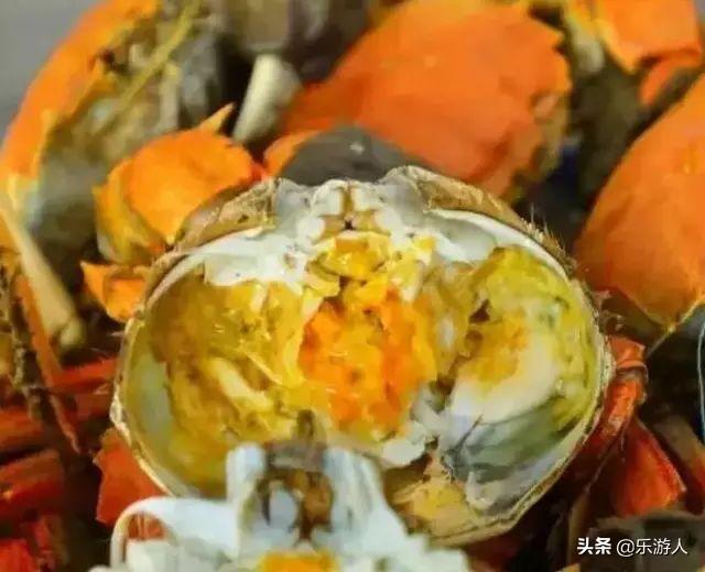 #行路万里#辽宁竟私藏了一片颜值超高的红海滩