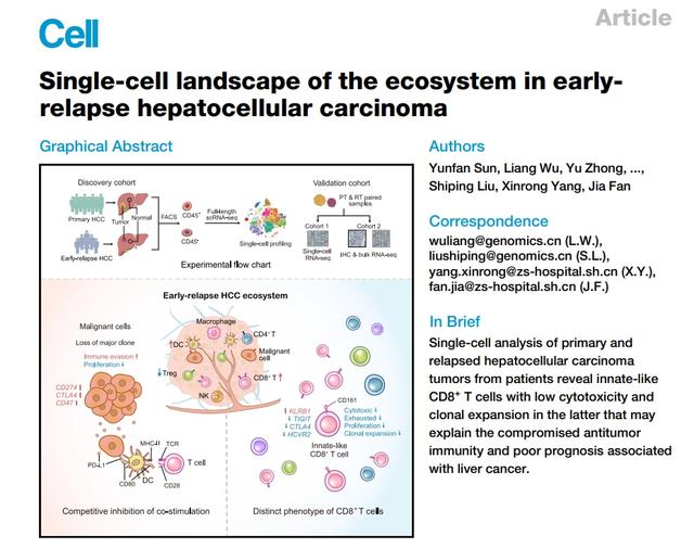 樊嘉院士团队在肝癌研究领域又一新突破！首次揭示肝癌原发肿瘤和早期复发肿瘤的免疫微生态系统存在显著差异