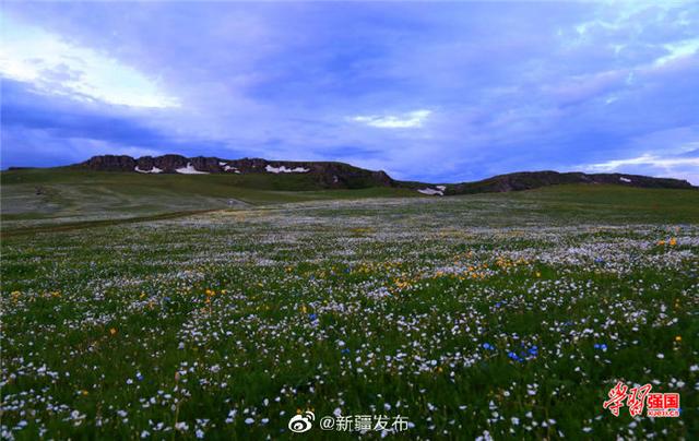 光明网：“云上草原”孟布拉克