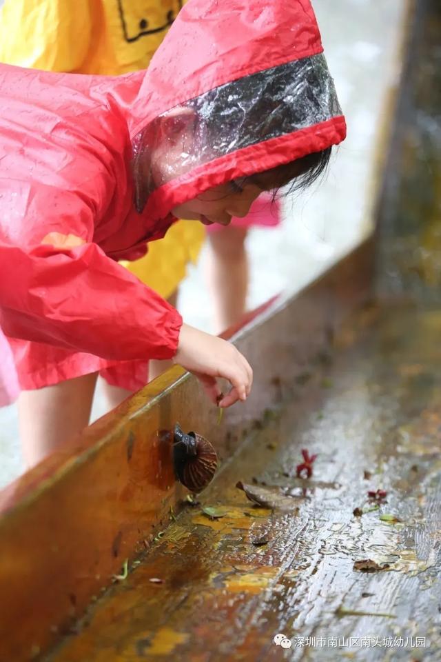超级宝妈|谁说下雨天不能进行室外活动，这家幼儿园别出心裁做到了